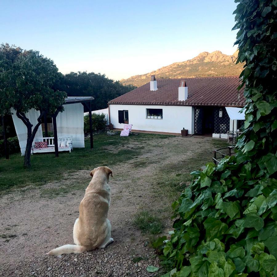 B&B La Tasgia Aggius Exterior photo