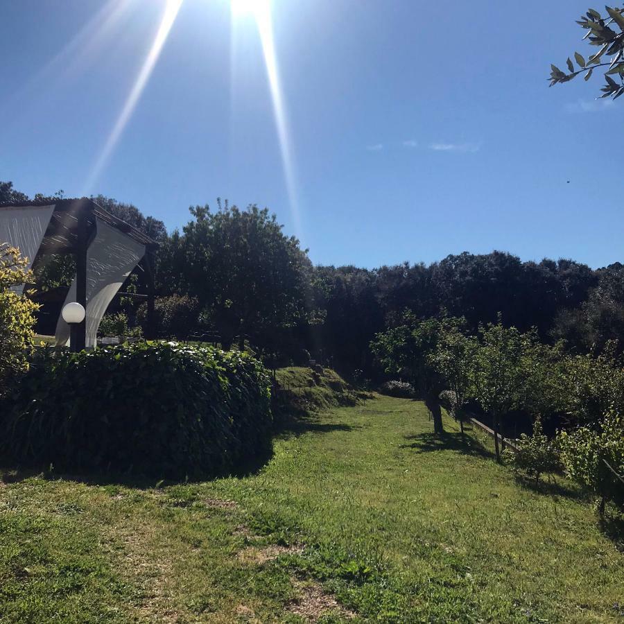 B&B La Tasgia Aggius Exterior photo