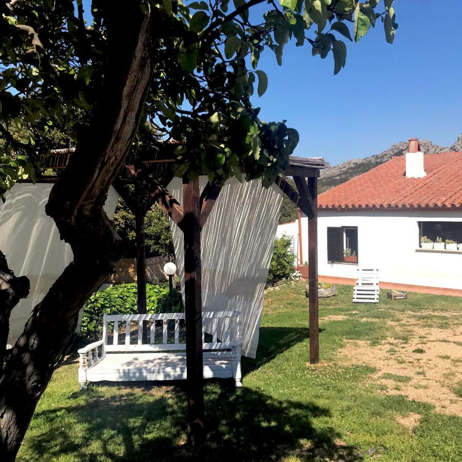 B&B La Tasgia Aggius Exterior photo